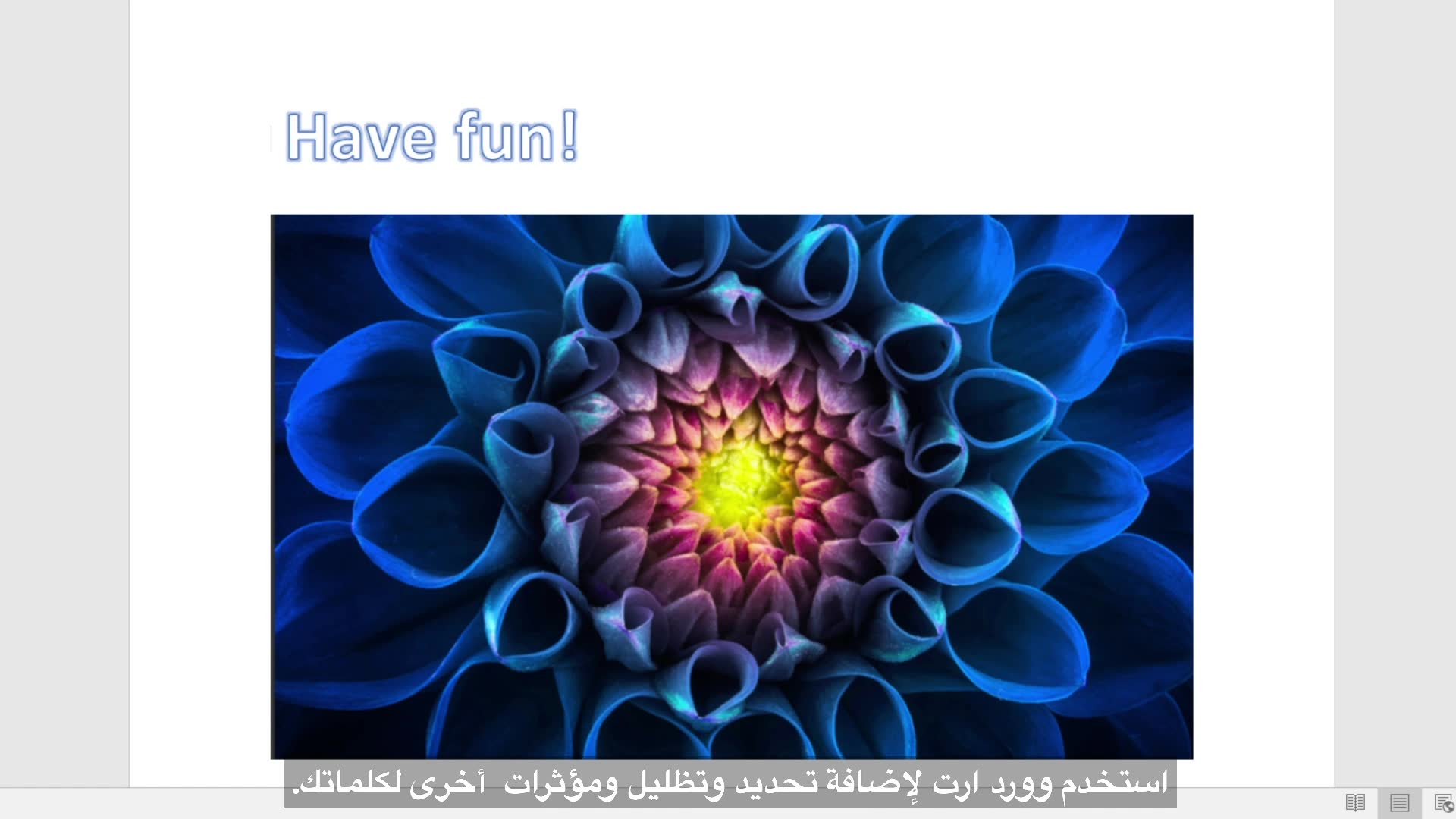 5 - إنشاء المحتوى الرقمي Image