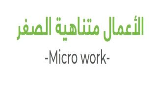 Micro-Work Training - الأعمال متناهية الصغر Image